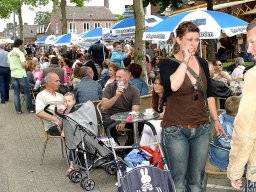 Elst_stelt_0248