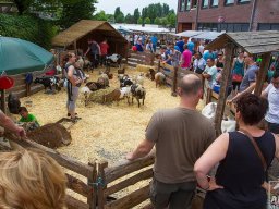 14_Arns-Media_EOS_0107