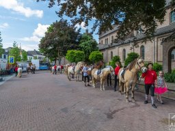 17_arns-media_EOS_0089