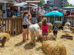 18_arns-media_EOS_0271