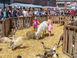 18_arns-media_EOS_0279