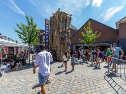 18_arns-media_EOS_0382