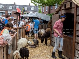 19_arns-media_EOS_0104