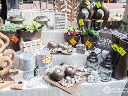 Elst_op_stelten-14