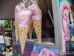 Elst_op_stelten-22
