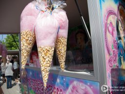 Elst_op_stelten-23