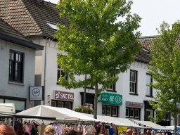 IMG_1262