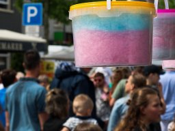 IMG_1281