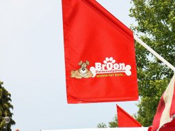 IMG_1349