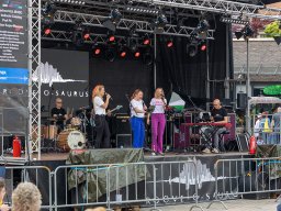 20240520_elst_op_stelten_051