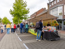 20250609_elst_op_stelten_026