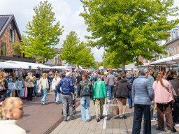 20250609_elst_op_stelten_034