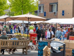 20250609_elst_op_stelten_038
