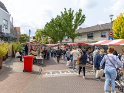20250609_elst_op_stelten_058