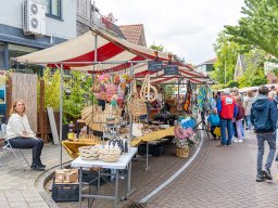 20250609_elst_op_stelten_059