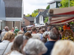 20250609_elst_op_stelten_060