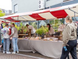 20250609_elst_op_stelten_062