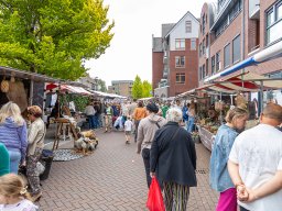 20250609_elst_op_stelten_106