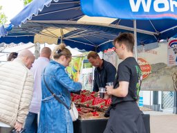 20250609_elst_op_stelten_162