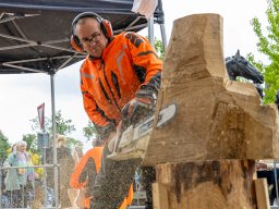 20250609_elst_op_stelten_194