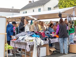 20250609_elst_op_stelten_250