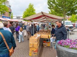 20250609_elst_op_stelten_299