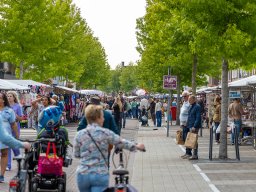 20250609_elst_op_stelten_343