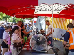 20260525_elst_op_stelten_010