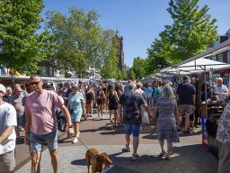 20260525_elst_op_stelten_014