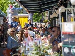 20260525_elst_op_stelten_029