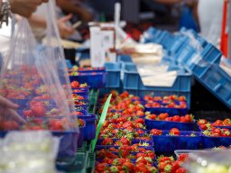 20260525_elst_op_stelten_046