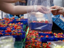 20260525_elst_op_stelten_047
