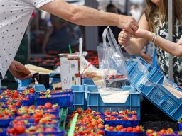 20260525_elst_op_stelten_048