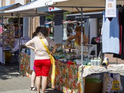 20260525_elst_op_stelten_143