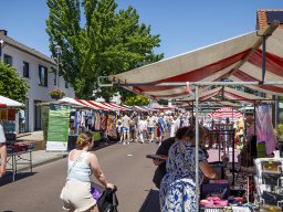 20260525_elst_op_stelten_180