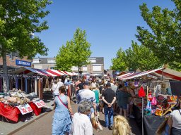 20260525_elst_op_stelten_187