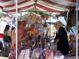 20260525_elst_op_stelten_194
