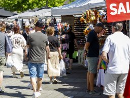 20260525_elst_op_stelten_271