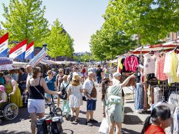20260525_elst_op_stelten_312