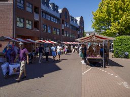 20260525_elst_op_stelten_322