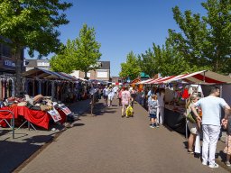 20260525_elst_op_stelten_349