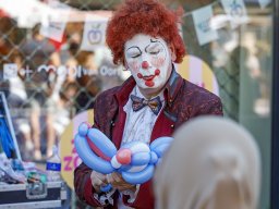 20260525_elst_op_stelten_352