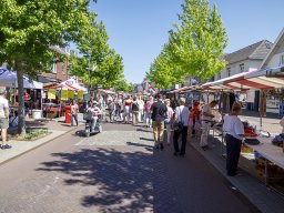 20260525_elst_op_stelten_355