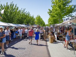 20260525_elst_op_stelten_359