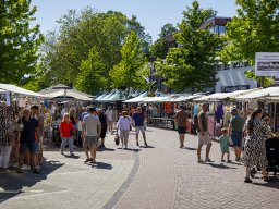20260525_elst_op_stelten_401