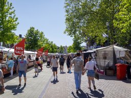 20260525_elst_op_stelten_402