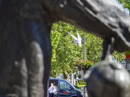 20260525_elst_op_stelten_411
